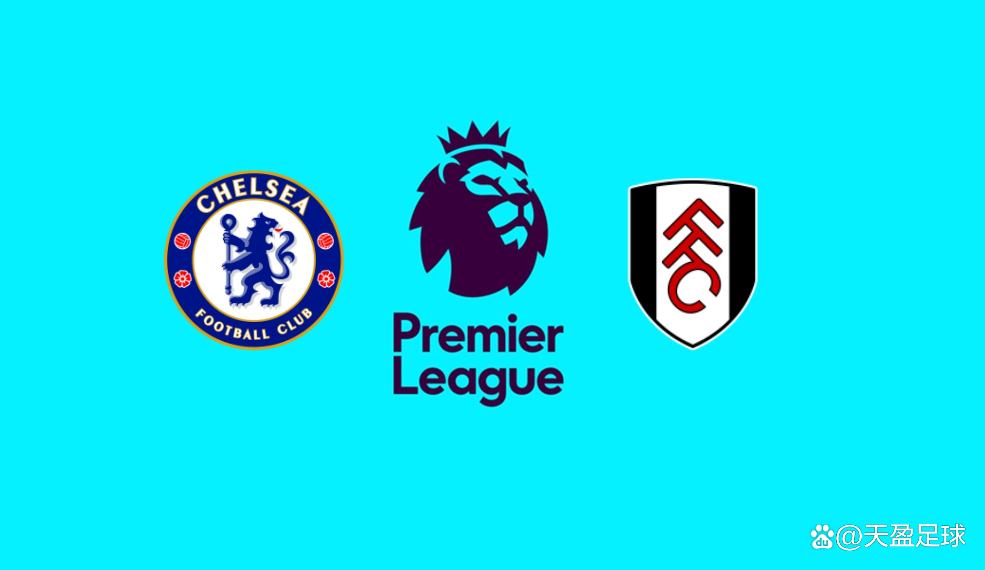 我特别想和河南球迷说几句掏心窝子的话